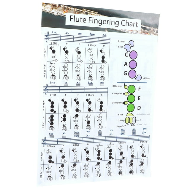 Tabla de acordes para digitación de flauta, práctica para estudiantes principiantes, material didáctico, accesorios para instrumentos L (56x40cm)