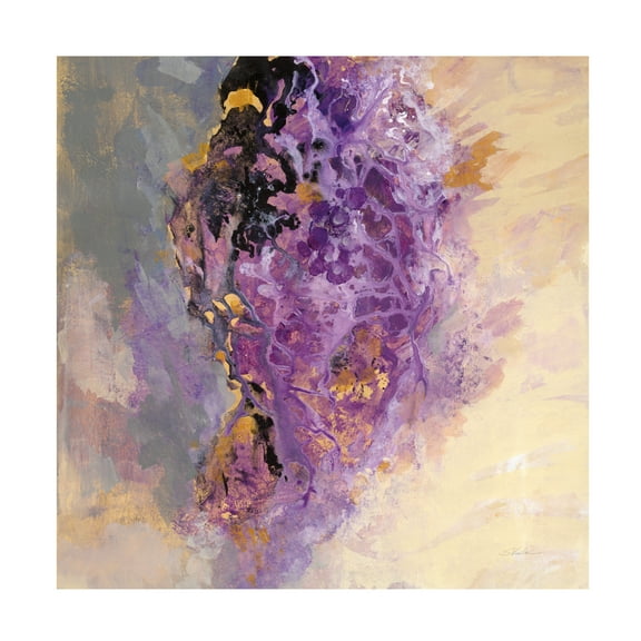 Silvia Vassileva 'Amethyst' Canvas Art