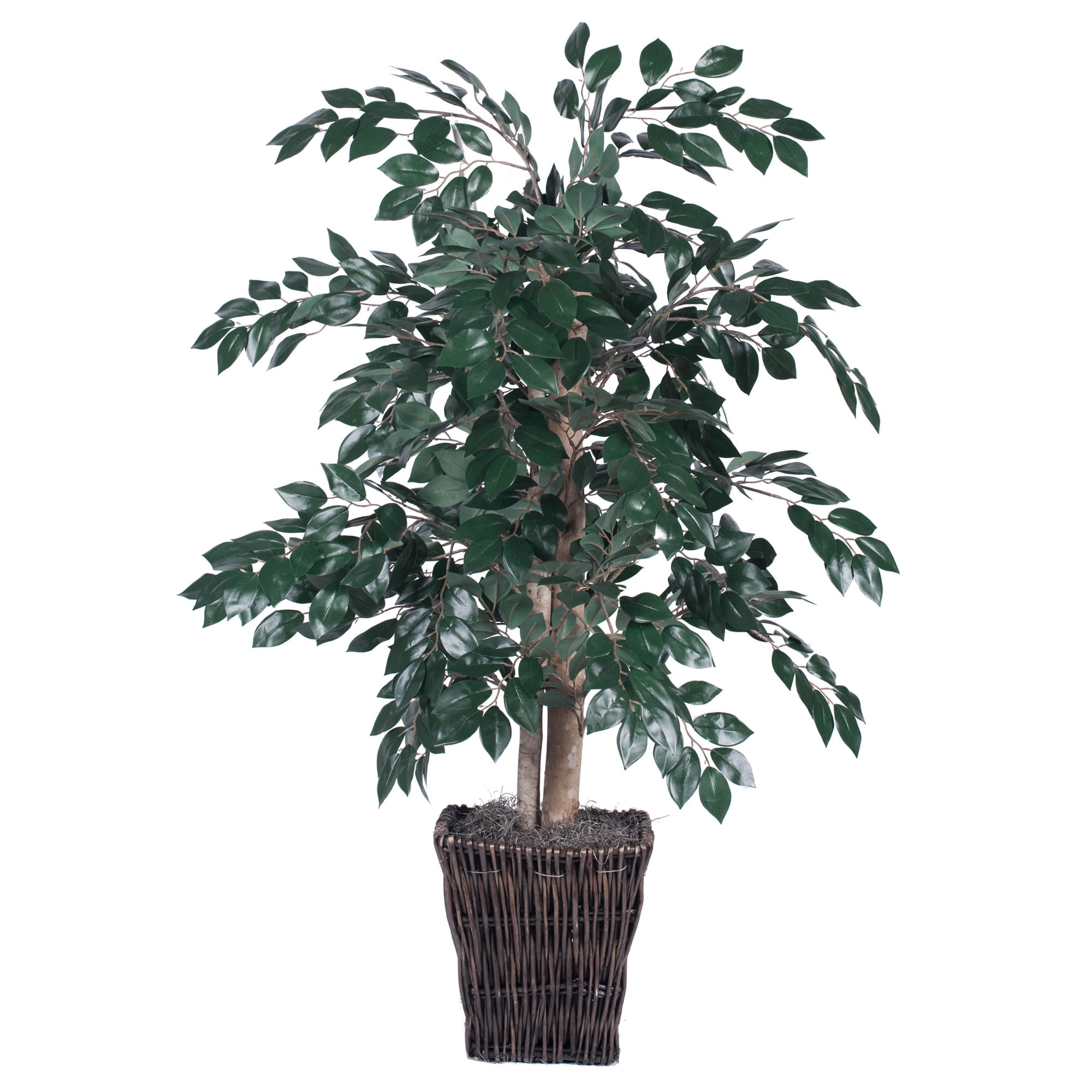 Vickerman 4' Artificial Sakaki Bush - Walmart.com - Walmart.com