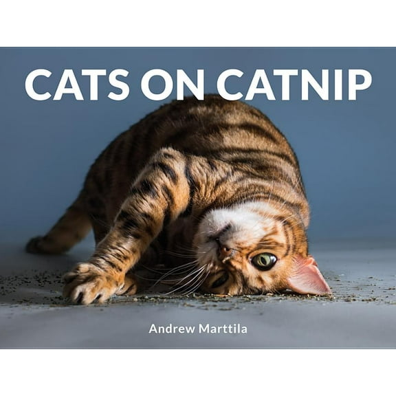Cats on Catnip, (Hardcover)
