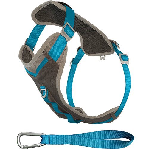Kurgo Journey Dog Harness, Charcoal & Coastal Blue, Small