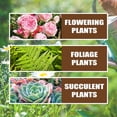 thumbnail image 3 of Amino Acid Plant Nutrient Fertilizer Easy Absorption Health Ingredients Solution for Agricultural Accessory, 3 of 5