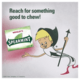 thumbnail image 6 of Wrigley Slim Pack Spearmint Chewing Gum 15Pcs Ea. Pack (20 Pack Double Up), 6 of 8