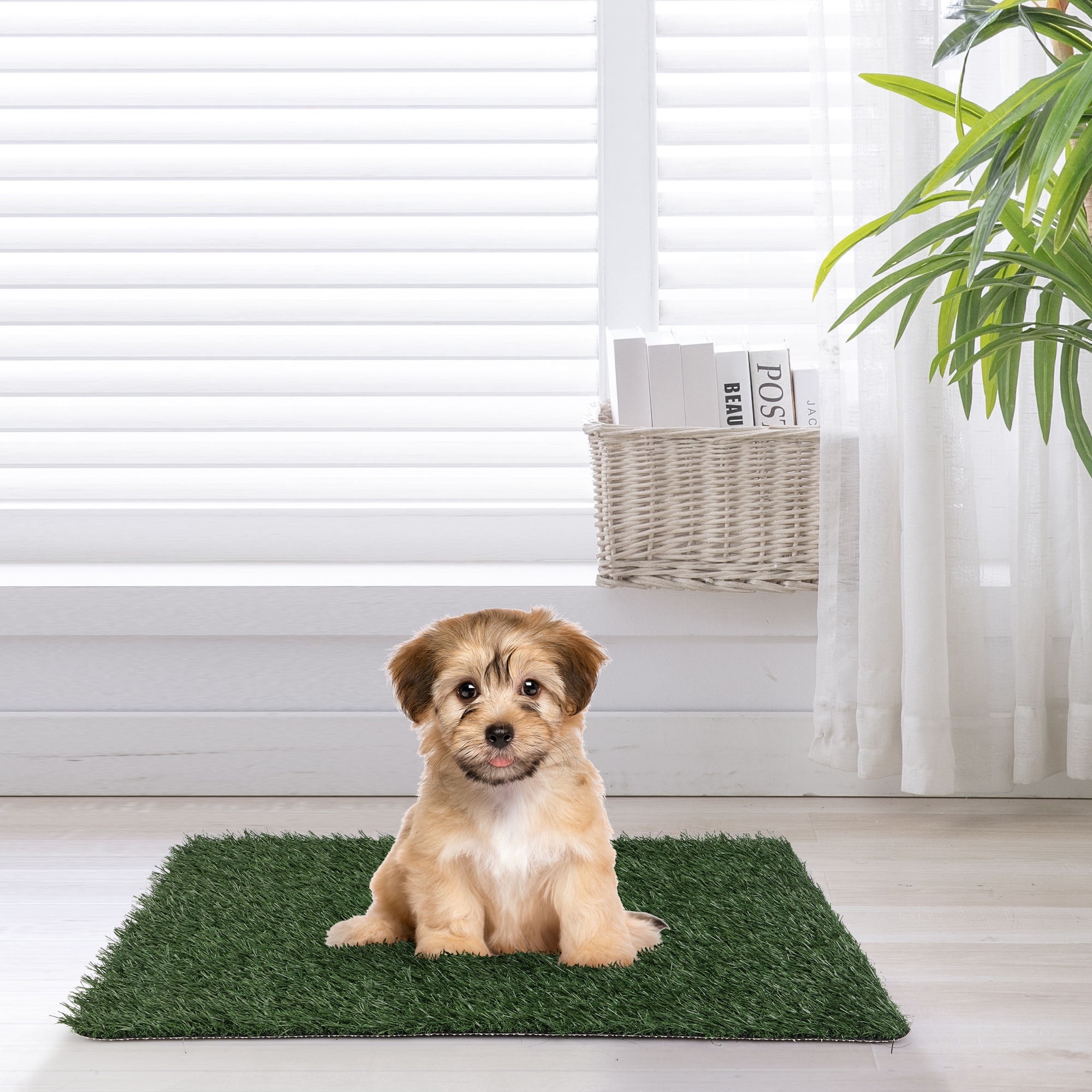 Pefilos 28" Dog Grass Puppy Pee Pad Reusable 3-Layer Training Potty Pad, 2 Piece Pack, Small Pet Toilet for Dog Housebreaking Supplies, Green Pefilos 28" Dog Grass Puppy Pee Pad Reusable 3-Layer Training Potty Pad, 2 Piece Pack, Small Pet Toilet for Dog Housebreaking Supplies, Green