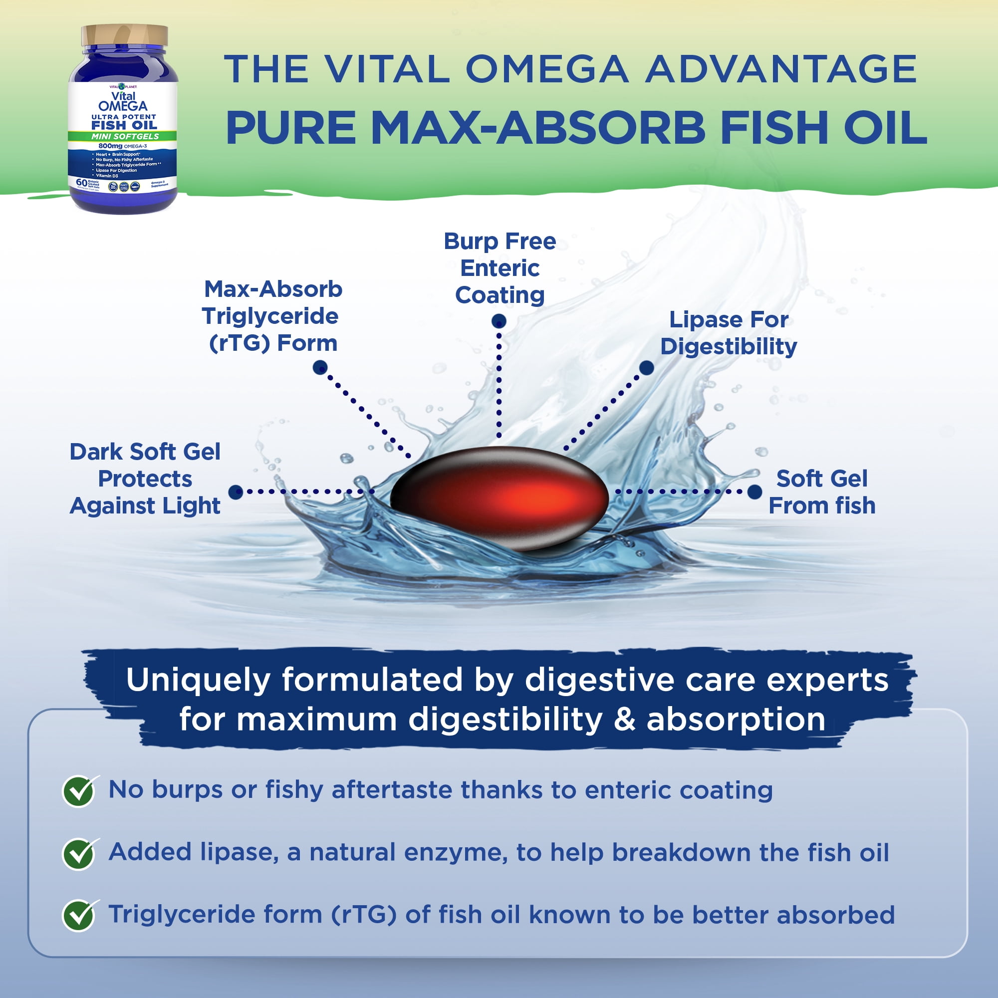 Vital Planet - Vital Omega 3 Fish Oil Mini Softgels Supplement 60 Softgels (Packaging May Vary)