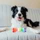 thumbnail image 4 of Juguete con sonido para mascotas, juguete portátil de felpa para la dentición, juguete para morder perros, juguete Molar para perros, 4 of 6