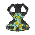 thumbnail image 4 of Gaeub Lemon1 Gaeub Lemon1 No Pull Dog Harness, Secure and Adjustable Pet Vest for Outdoor Activities - Small, 4 of 9
