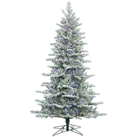 Vickerman 3.5' Frosted Eastern Frasier Fir Artificial Christmas Tree with 100 Multi-Colored LED