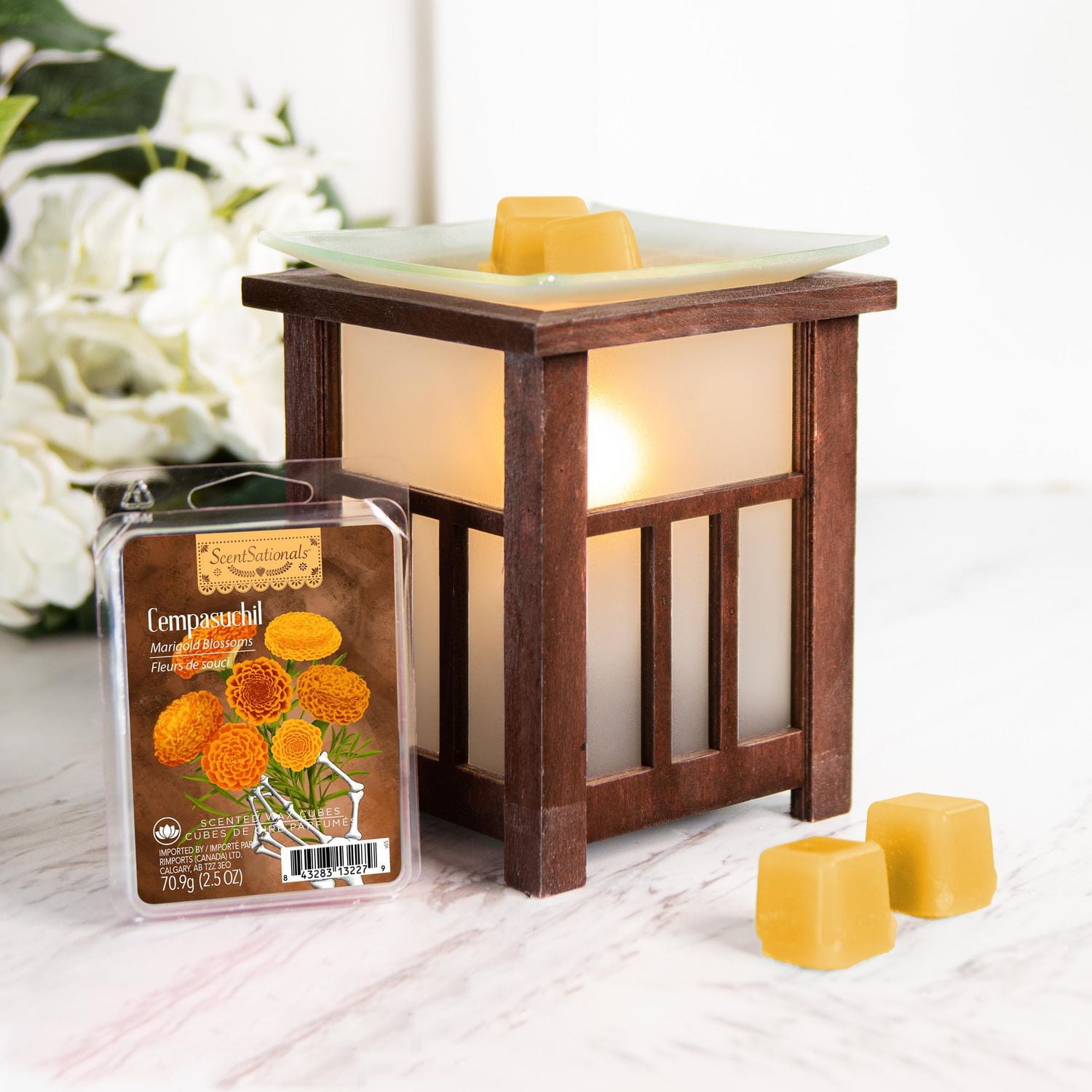 ScentSationals Scented Wax Cubes - Cempasuchil Marigold Blossoms