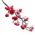 thumbnail image 1 of Flores Artificiales Flor de Ciruelo Flor de Simulación para Bricolaje Jardín Primavera Hogar Habitación Boda Fiesta Decoración ANGGREK Otros, 1 of 2