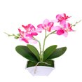 thumbnail image 2 of SPRING PARK 1Pc Artificial Butterfly Orchid Flower Silk Flower Bouquet Artificial Flower Plant for Wedding Home Decoration, 2 of 7