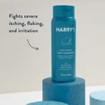 thumbnail image 2 of Harry's Men's Extra Strength Anti Dandruff 2-in-1 Shampoo and Conditioner, 14 fl oz, 2 of 5