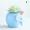 thumbnail image 2 of Resin Succulent Planter Flowerpot Balcony Desk Ornament Decoration, 2 of 7