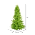 thumbnail image 2 of Vickerman 7.5' Lime Fir Artificial Christmas Tree, Unlit, 2 of 4
