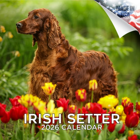 2025 2026 Irish Setters Calendar - Dog Breed Monthly Wall Calendar - 12 x 24 Open - Thick No-Bleed Paper - Giftable - Academic Teacher's Planner Calendar Organizing & Planning - Made in USA