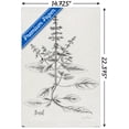 thumbnail image 3 of Jean Plout - Botanical Studies on Paper Basil Wall Poster, 14.725" x 22.375", 3 of 4