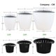 thumbnail image 3 of WEUVEB Para Plantas Suculentas Y Cactus En Plástico Resistente Para Guardar, 3 of 8