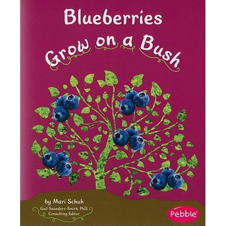 Blueberries Grow on a Bush (Best Way To Grow Blueberries)