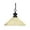 Bronze Finish, variant on Z-Lite Riviera 1 Light Pendant in Olde Bronze