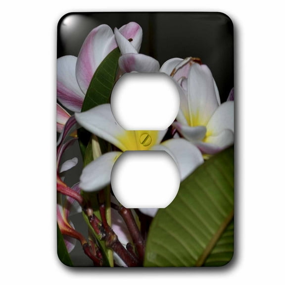 3dRose, Hawaiian Flowers, 2 plug outlet cover