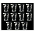 thumbnail image 4 of Sachets de Bouteilles à Boire Sachets de Bouteilles à Boire avec Entonnoir Sachets Réutilisables Portables Transparents, 4 of 9