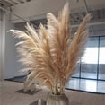 thumbnail image 2 of PEONAVET Giant Reed Natural Dryness - Wedding Bouquet Is A Favorite Wedding Color within The Natural, 2 of 4