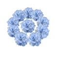 thumbnail image 1 of Cabezas Flores Hortensia Artificial Boda Fiesta Decora 12pzs Xtellar azul, 1 of 3
