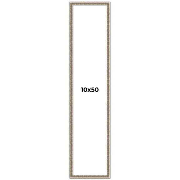 10x50 Frame Silver Versailles Ornate Solid Wood Picture Frame | 1 Inch Moulding Width | Interior