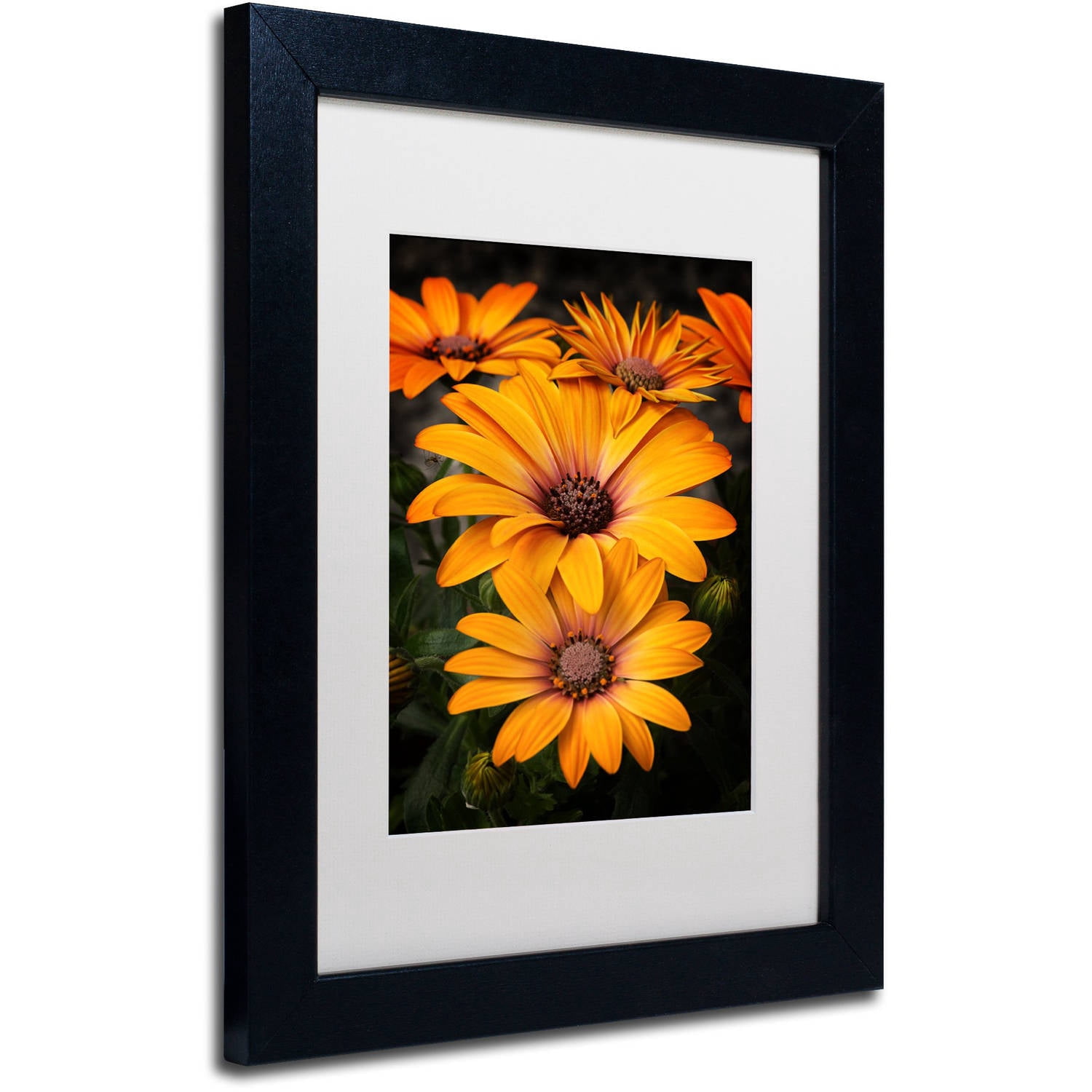 Trademark Fine Art Floral Matted Framed Art ' Stuck On You ' by Philippe Sainte-Laudy