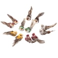 thumbnail image 2 of 12Pcs Simulation Foam Bird Artificial Bird Decor with Clip Fixing Home Garden Plant Decoration, 2 of 6