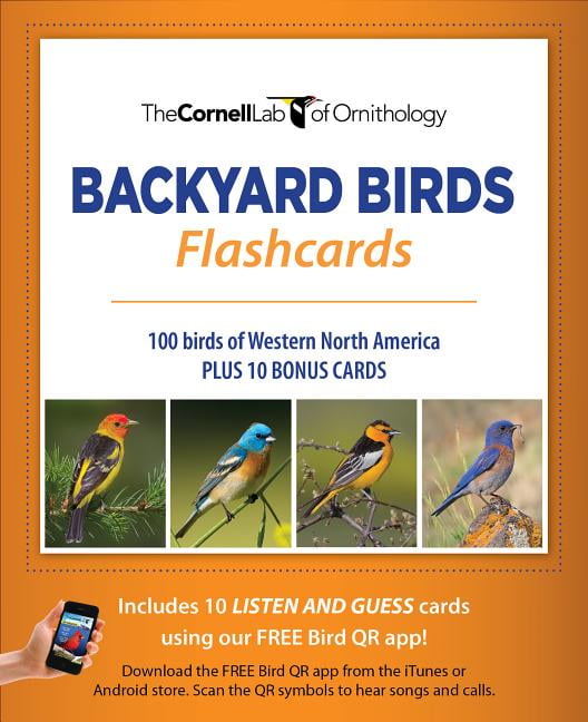 Bird Id Cards