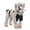 White-S., variant on Waterproof Winter Dog Coat with Four Leg Design Fashion Down Jackets For Cold Weather Outdoor Activity Breeds Outerwear