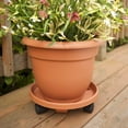 thumbnail image 5 of Bloem Ariana Self Watering Planter 12 in. Honey Dew, 5 of 8