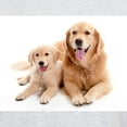 thumbnail image 3 of CafePress - Golden Retriever Buddies Light T Shirt - Men's Classic Graphic T-Shirt, 3 of 4