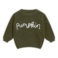 thumbnail image 5 of KPOPLK Baby Toddler Kids Girl Sweaters Long Sleeve Letter Embroidery Knit Pullover Toddler Tops 6 9 12 18 24 Months 2T 3T 4T,Size 6-9 Months, 5 of 6