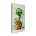 thumbnail image 2 of Trademark Fine Art ' Spring Nesting 2' Canvas Art by Barbara Mock, 2 of 3