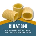 thumbnail image 4 of Sfoglini Organic Rigatoni Pasta, 4-Pack, 16 oz Boxes, 4 of 8
