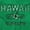 Irish Green, variant on Hawaii Hibiscus Flower Distressed HI Womens Fitted Plus Size Graphic Tee Brisco Brands 3X