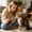 A001- Style A, variant on Cat Catnip Mint Fish Bone Chew Toys, Natural Wood Kitten Dental Care Chews, 3 Pack Interactive Teeth Cleaning Treats for Indoor Cats Kittens Kitty Relieve Anxiety Boredom Stress Relief Pet Supplies