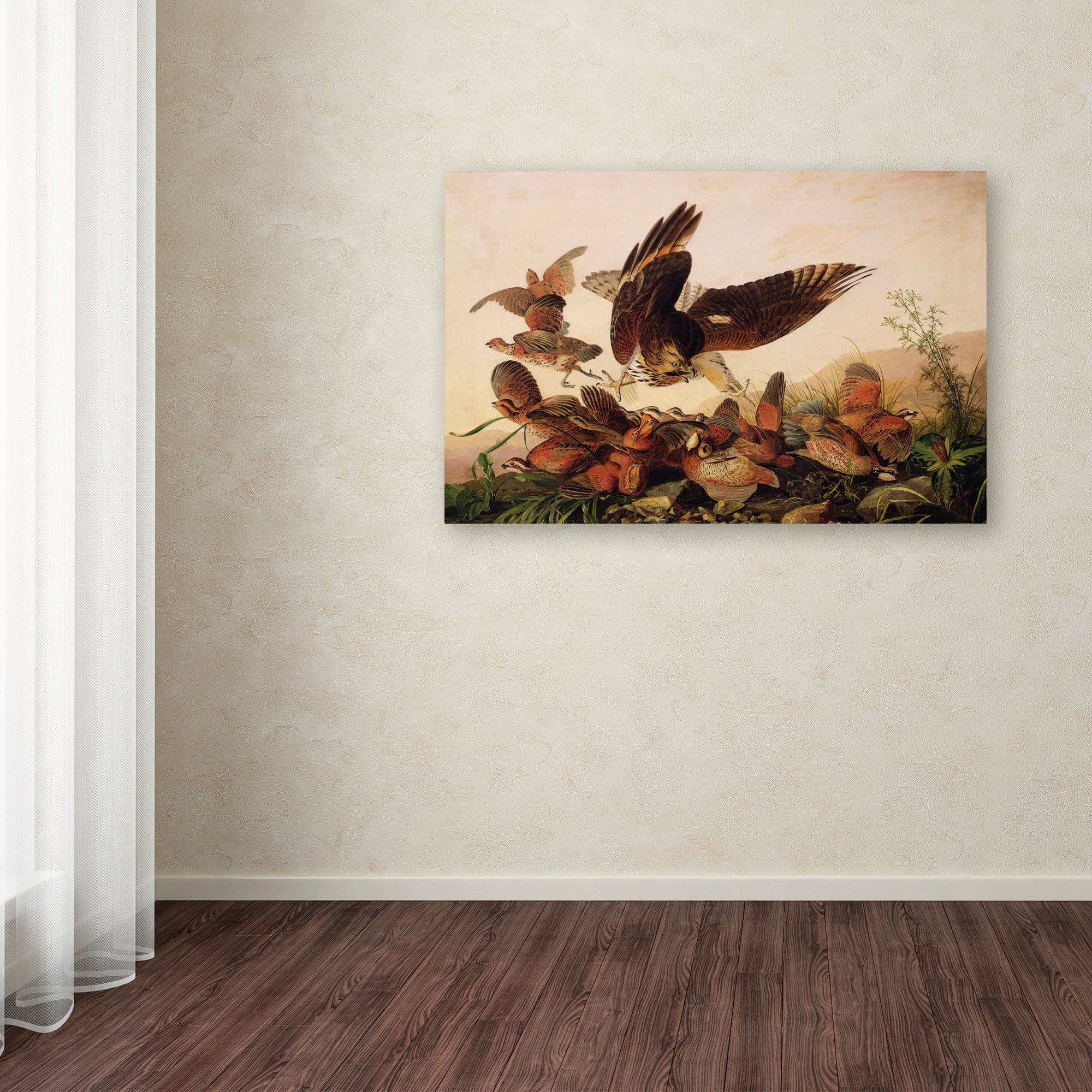 Trademark Fine Art "Red-Shouldered Hawk" Canvas Art by John James Audubon