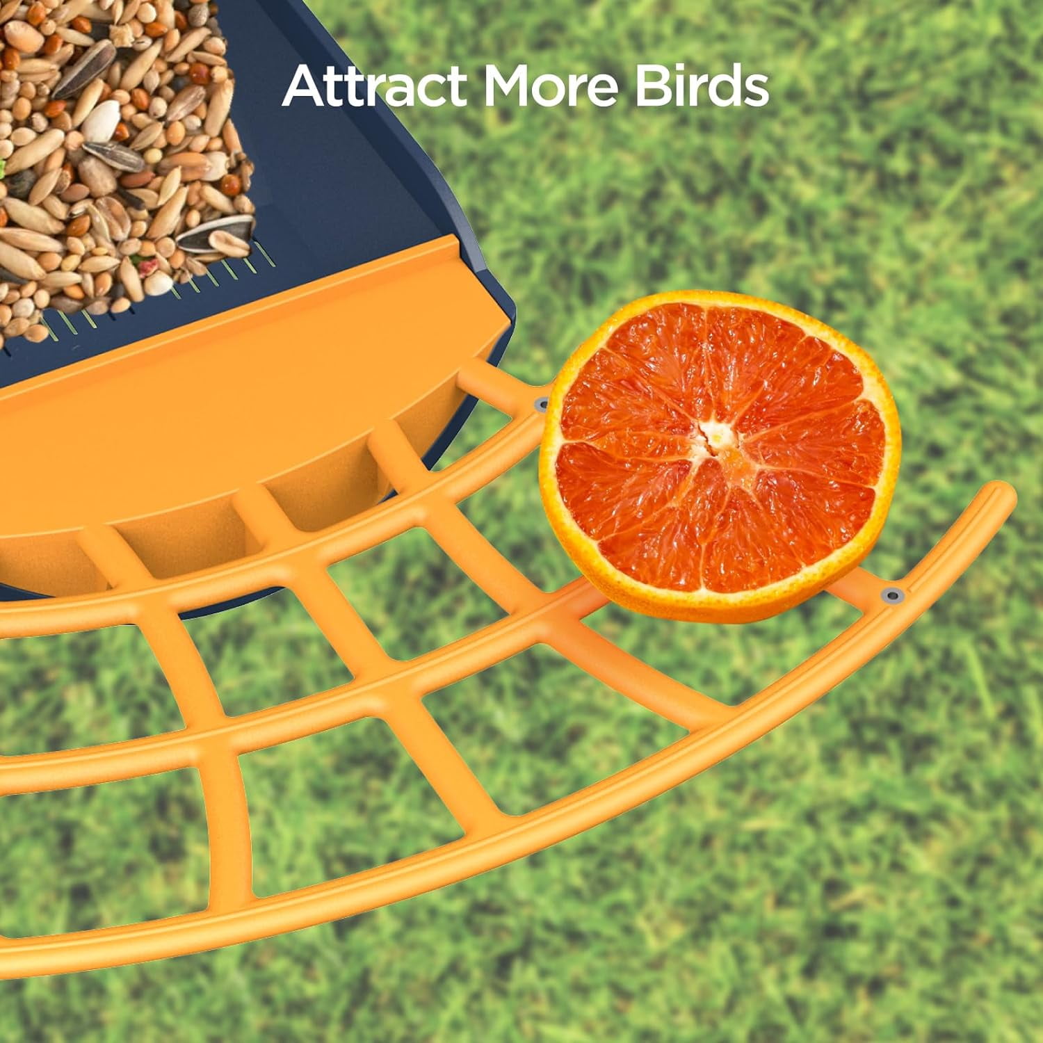 Birdkiss Smart Bird Feeder with Camera, 1080P HD Bird Watching Camera with AI Identify for Bird Lover