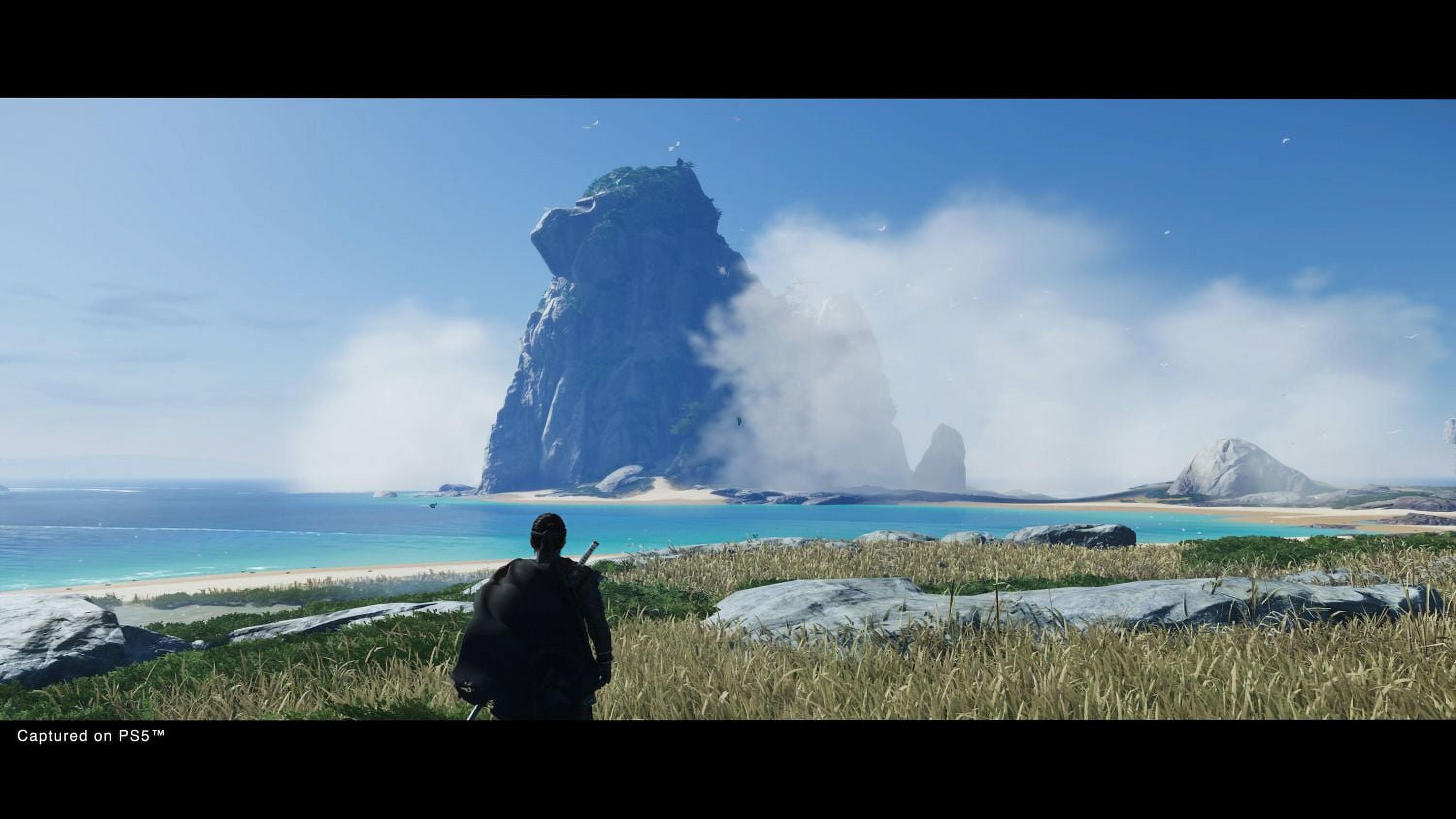 Jeu vidéo Ghost of Tsushima Director’s Cut pour PlayStation 5 LOGICIEL