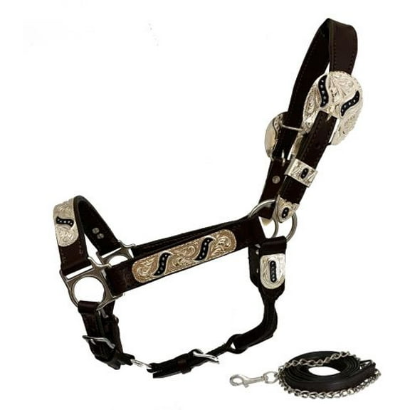 Showman Yearling Leather Show Halter w/ Engraved Silver