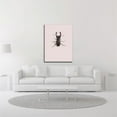 thumbnail image 2 of 14" x 19" Lucanus cervus by Incado - Wall Art Print on Canvas Fabric Pink, 2 of 3