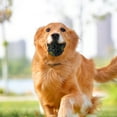 thumbnail image 3 of Fiudx Pelota con Forma de Huella de Perro, Juguete Interactivo con Dispensador de Premios, Pelota Masticable de Goma Resistente, Diseño Que Promueve La Salud Dental, Diversión para Jugar, Todas Las R, 3 of 5