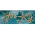 thumbnail image 2 of Grey, Jace 14x8 Black Ornate Wood Framed with Double Matting Museum Art Print Titled - Starfish, 2 of 4
