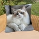 thumbnail image 4 of CaiYueKe Cats Linen Pillow Cover Decorative Cushion Case Bohemian Style Sofa Bed Throw Pillowcase Home Decor Accent Pillow Shams for Living Room Bedroom, 4 of 7