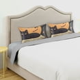 thumbnail image 3 of Yayeee Pillowcase King Size Set of 2 Satin Wrinkle Resistant Pillow Case, Orange Halloween Cat, 3 of 7
