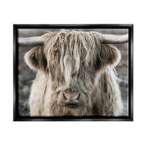Stupell Industries Detailed Highlands Cattle Rural Farm Animal Photography Photograph Jet Black Floating Framed Canvas Print Wall Art, Design by Danita Delimont