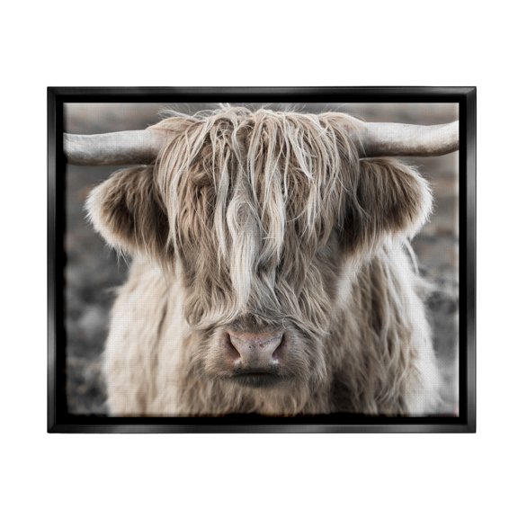 Stupell Industries Detailed Highlands Cattle Rural Farm Animal Photography Photograph Jet Black Floating Framed Canvas Print Wall Art, Design by Danita Delimont